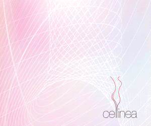 Cellinea - celulitída